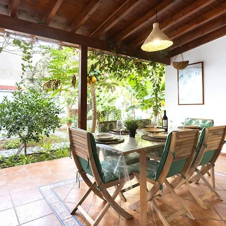 Secret Garden In The Heart Of Apartamento *
