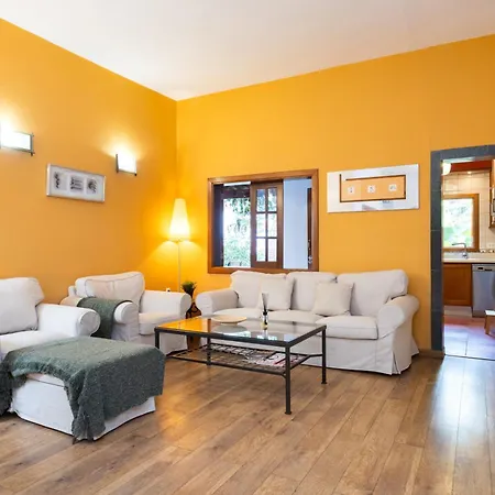 Secret Garden In The Heart Of Apartamento