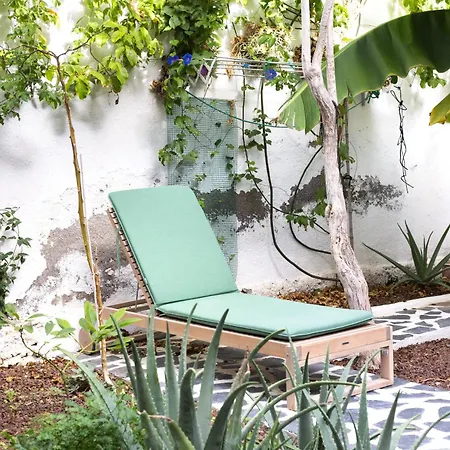 Secret Garden In The Heart Of Apartmán *